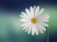 Bitcoin jumps to 1800